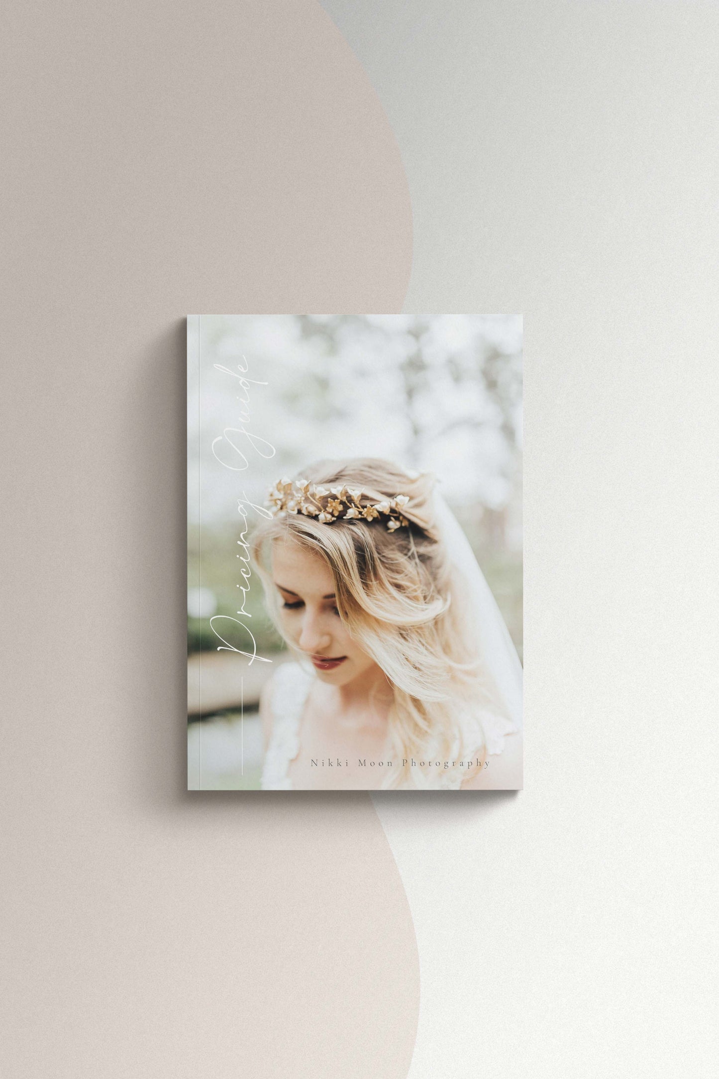 Nikki Canva Pricing Guide template